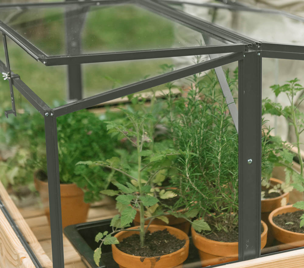 Royal Well Parsly Planter - Broeikas - Groen - 60x80x46 cm - Veiligheidsglas