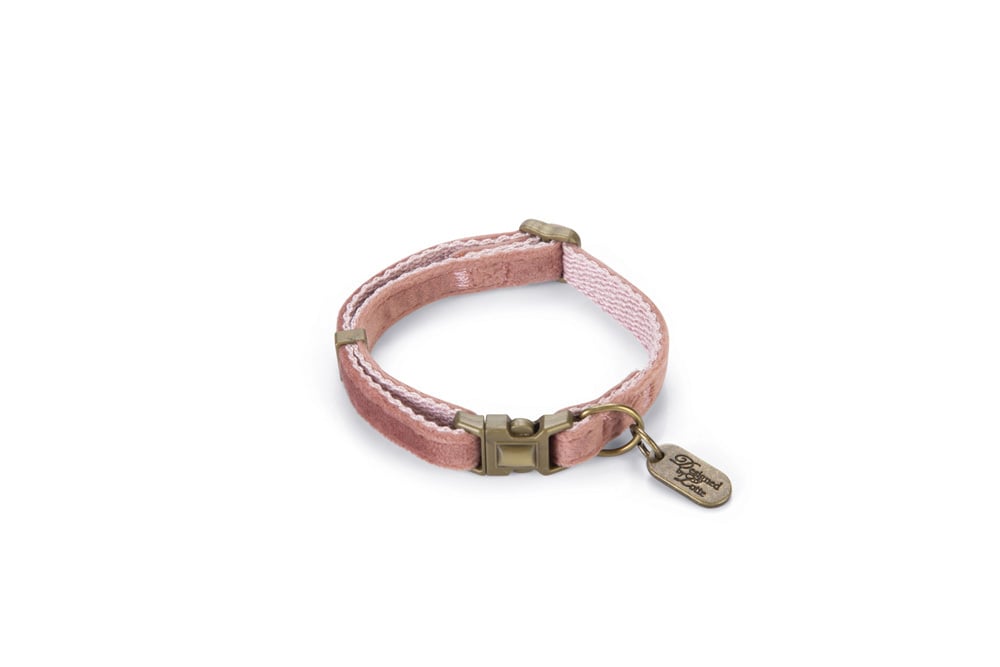 Designed by Lotte Velura - Halsband Hond - roze - 20 tot 30 cm