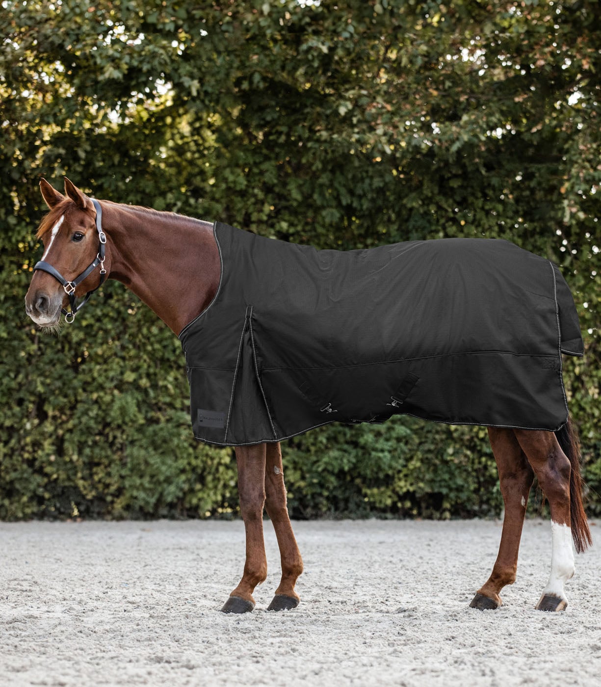 Waldhausen Nordic Hoge nek Light - Winterdeken - Paardendeken - Zwart - 125/175 Waldhausen Nordic Hoge nek Light - Winterdeken - Paardendeken - Zwart - 125/175