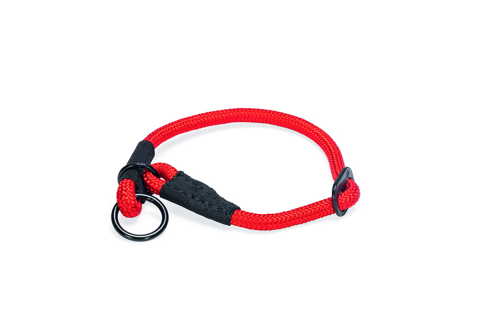 Beeztees Premium Parinca - Halsband Hond - rood - Extra small - 40 cm