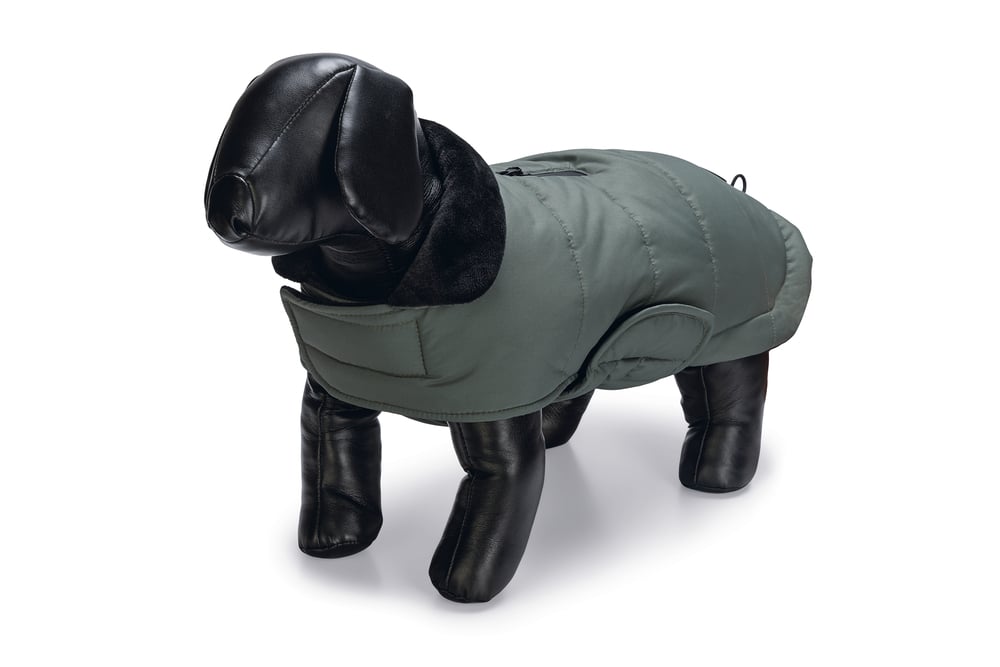 Designed By Lotte Zhanti - Hondenjas - groen - 2XS