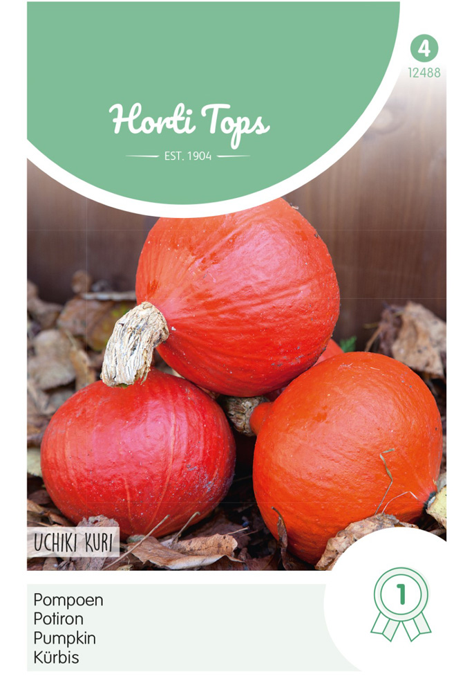 Hortitops Pompoenen Cucurbita maxima Oranje Zon - Groentezaden