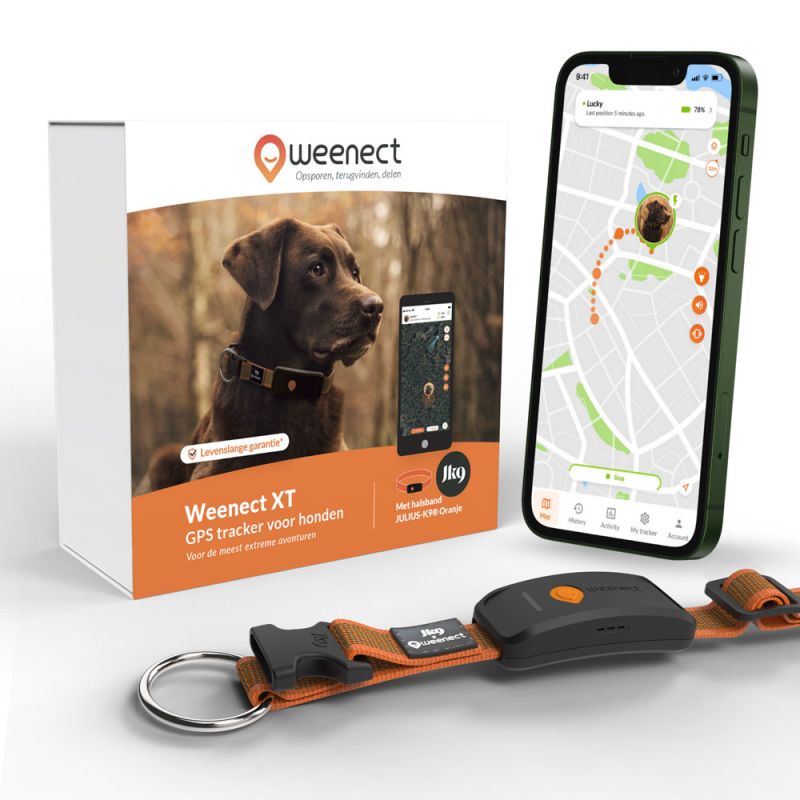 Weenect XT - Halsband met GPS tracker - Oranje