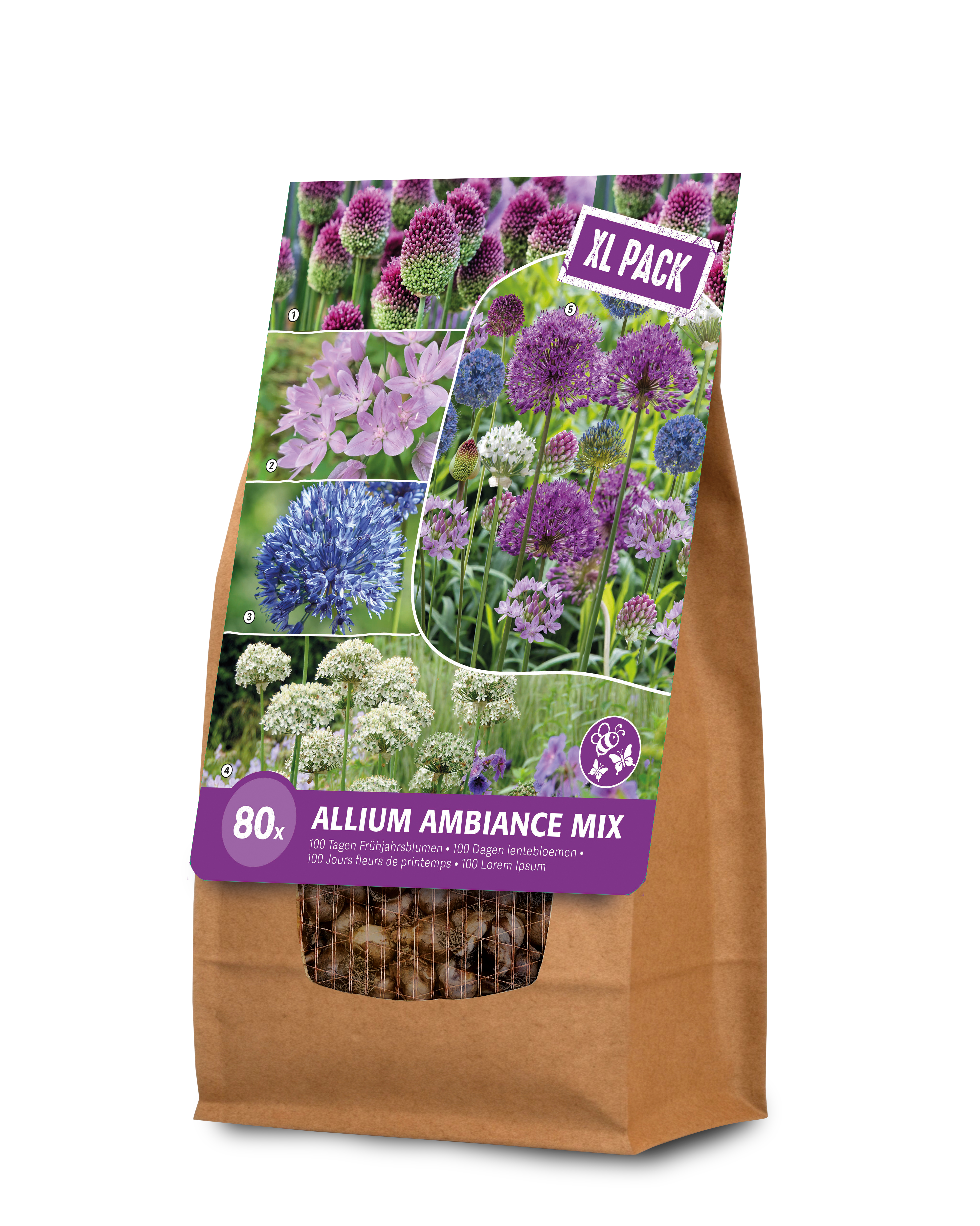 Florex Ambiance Allium - Bloembollen - XL zak