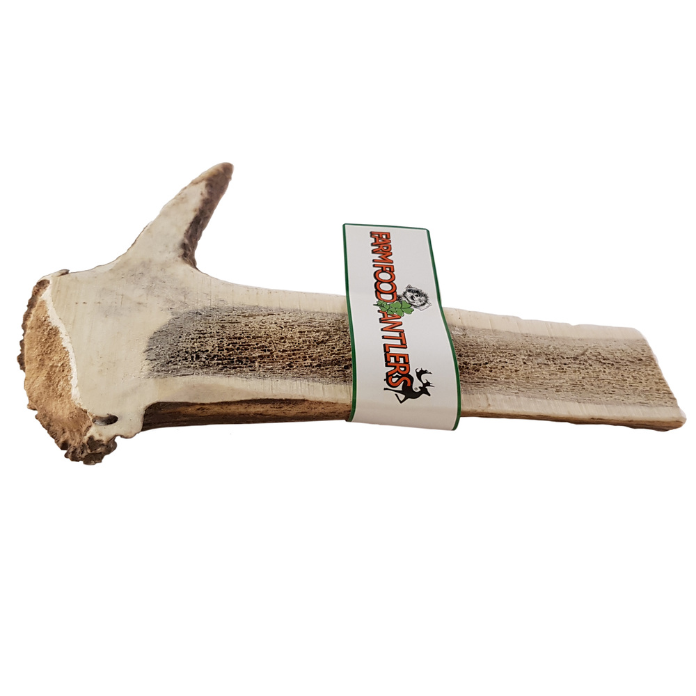 Farm Food Antlers Easy Hertengewei - Hondensnack - hertengewei - XL