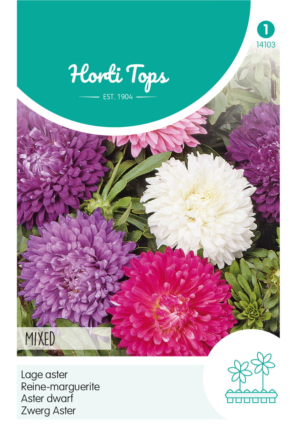 Hortitops Lage Aster Mixed - Bloemzaden