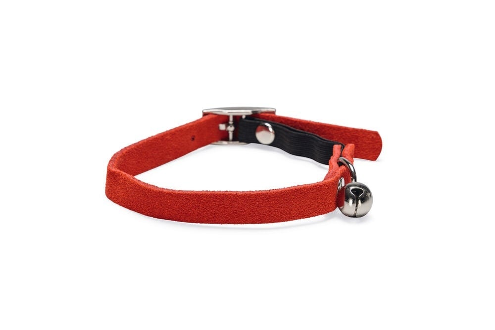 Beeztees - Kattenhalsbandje - Rood - 32 cm Beeztees - Kattenhalsbandje - Rood - 32 cm