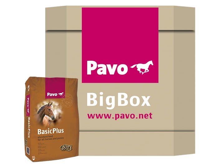 Pavo BasicPlus - Basisvoeding - Paardenvoer - 725 Kilogram - Bigbox Pavo BasicPlus - Basisvoeding - Paardenvoer - 725 Kilogram - Bigbox