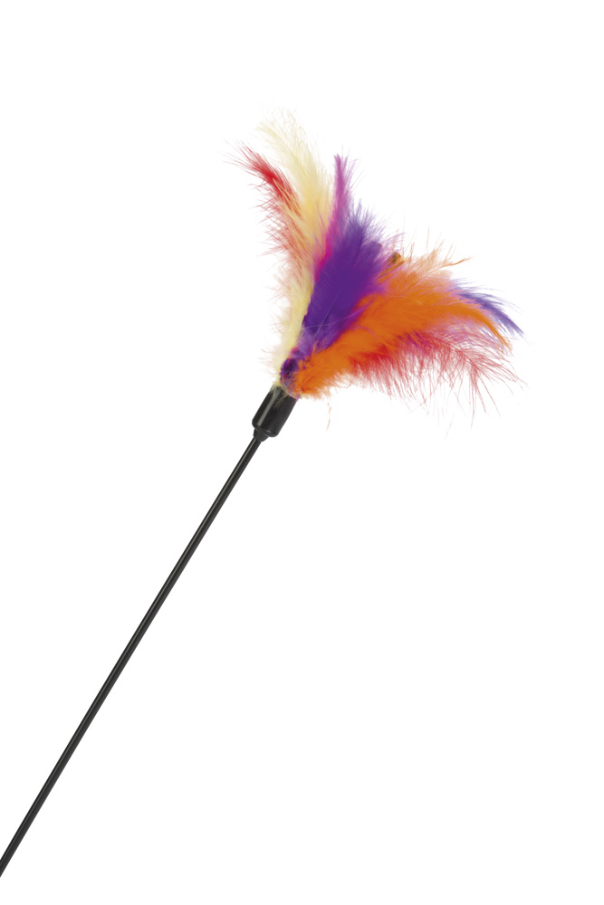 Beeztees Hengel met gekleurde veren - Kattenspeeltje - 45 cm