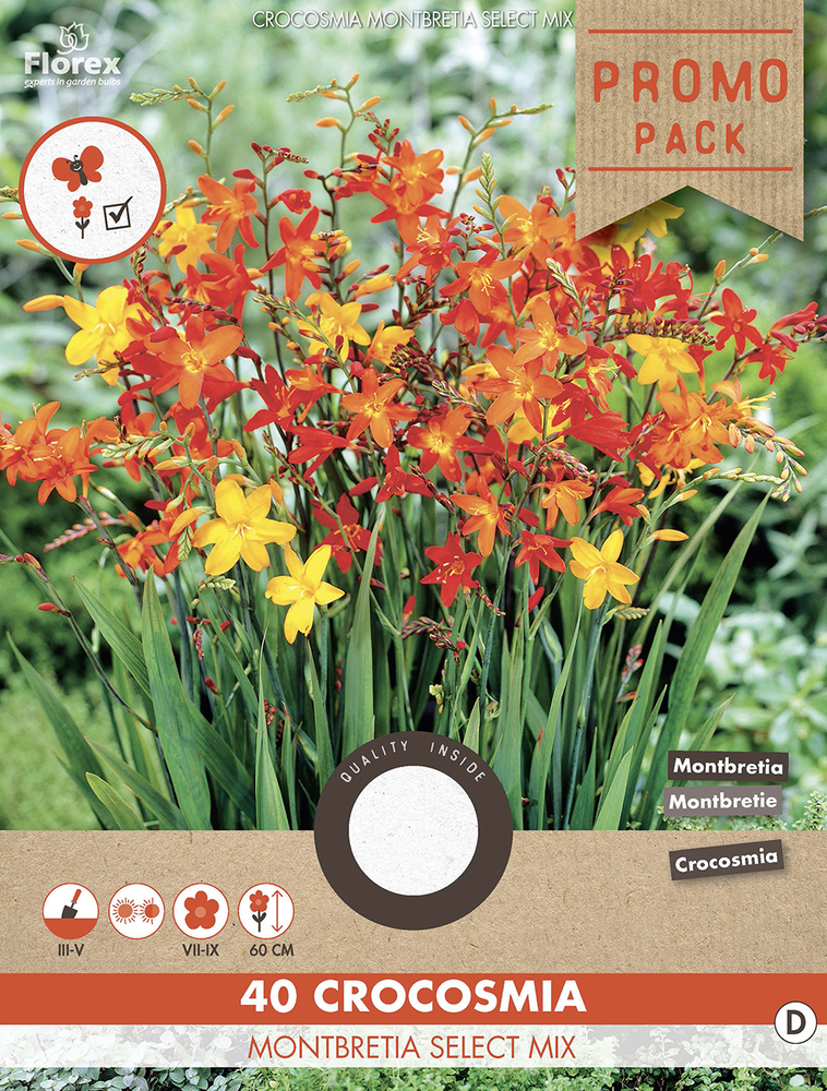 Florex Crocosmia Montbretia - Bloembollen - Rood