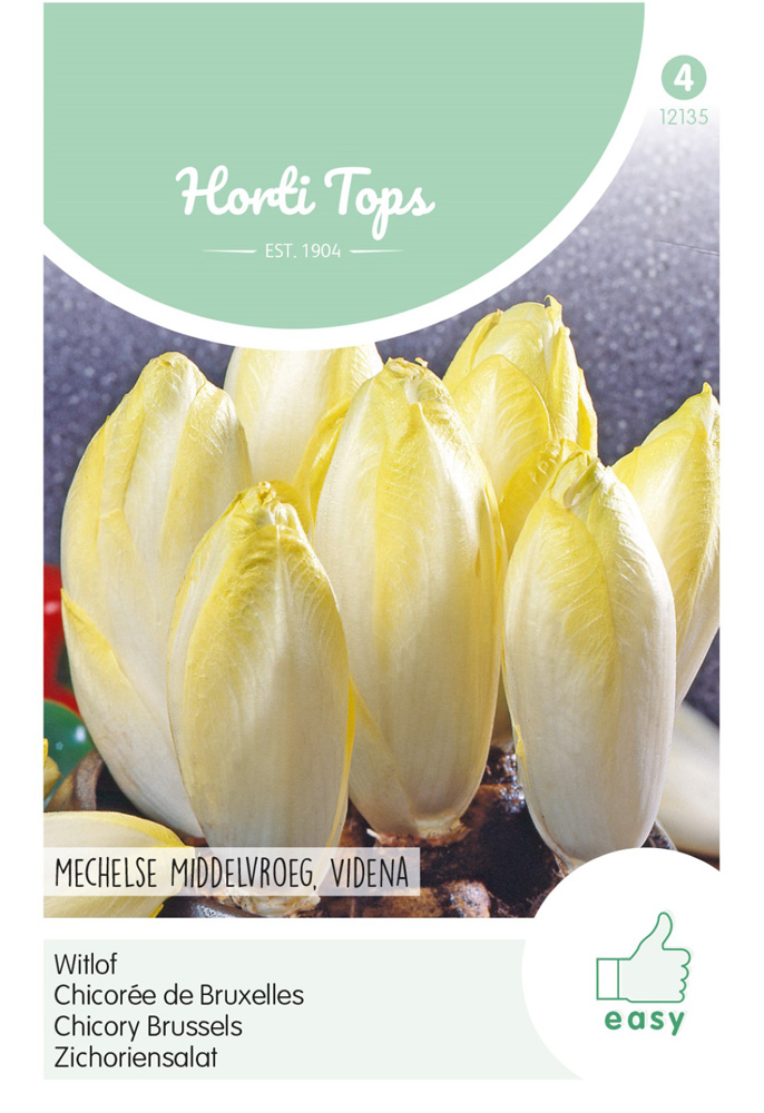 Hortitops Witlof Mechelse Videna - Groentezaden - 2,5 gram