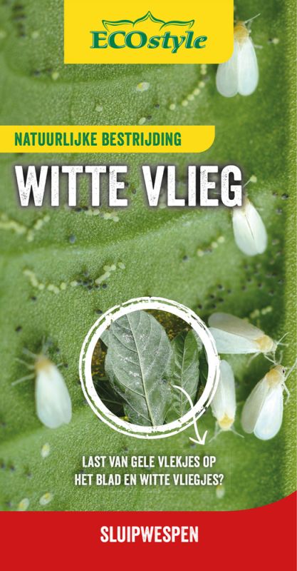 ECOstyle Sluipwesp - Tegen larven van witte vlieg - 10 m2