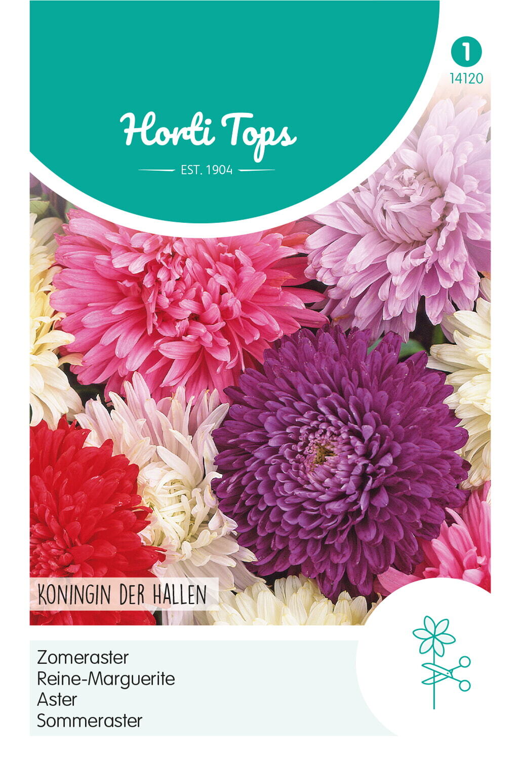 Hortitops Zomeraster Reine Des Halles - Bloemzaden