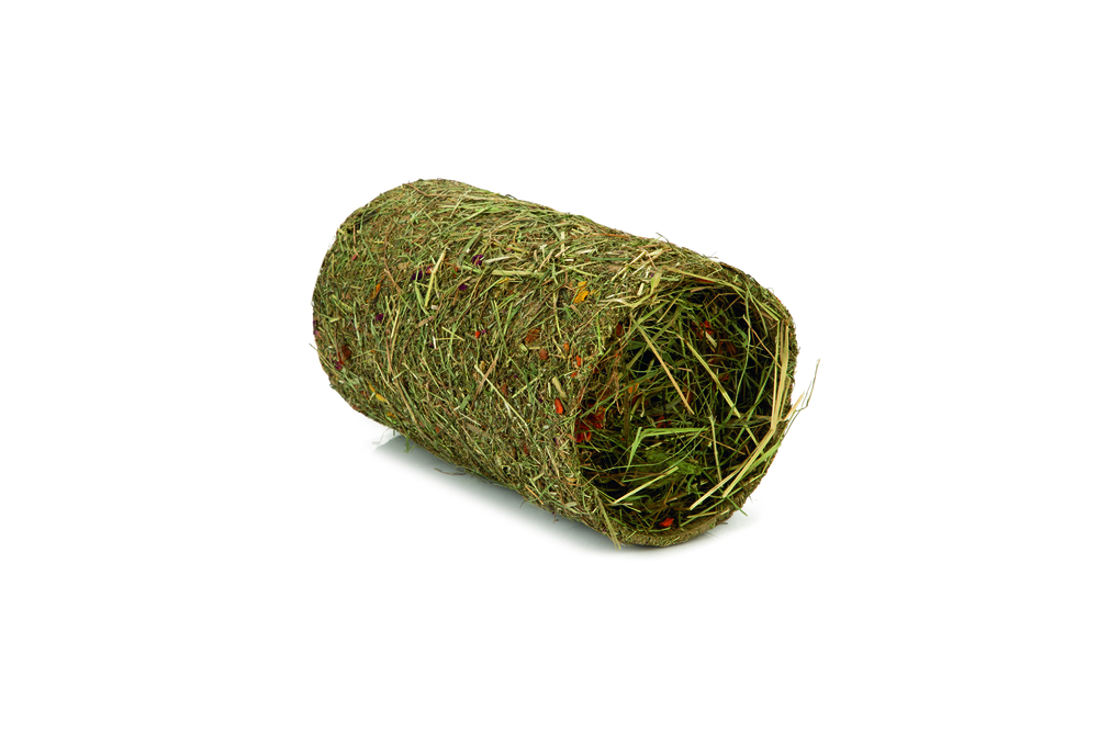 Beeztees - Hooitunnel - M