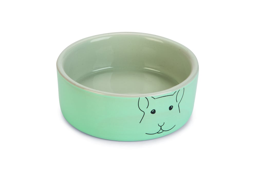 Beeztees Cavia - Voerbak - Mint - 4.2x11.3x11.3 cm