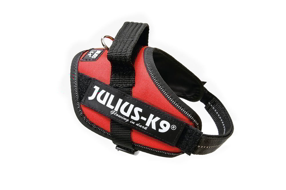 Julius K9 IDC - Hondentuig - rood - Baby 1