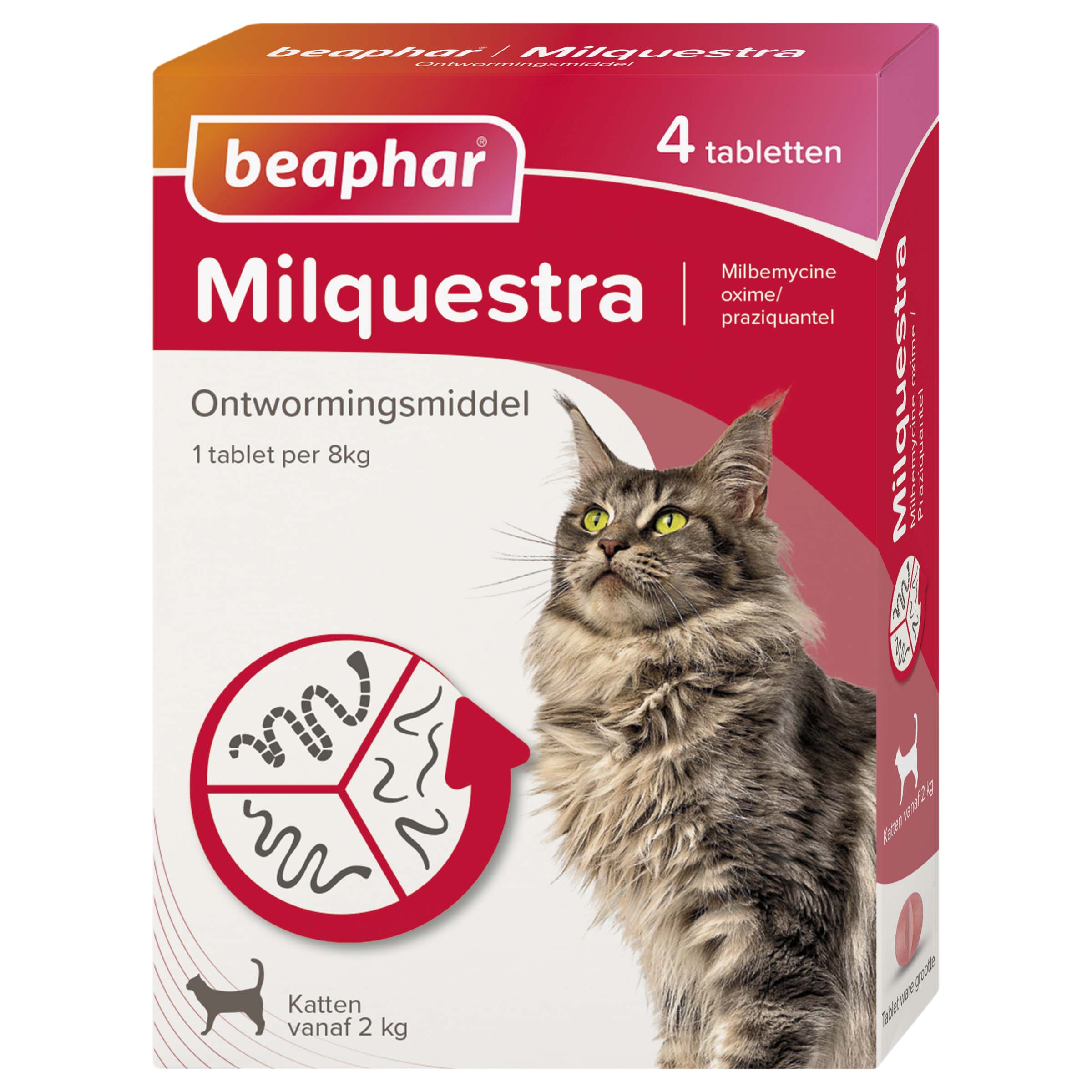 Beaphar Milquestra Tabletten - Ontwormen Kat - 4 Stuks - M Beaphar Milquestra Tabletten - Ontwormen Kat - 4 Stuks - M