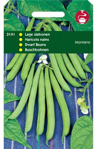 Hortitops Stamslaboon Modesto - Groentezaden - 100 Gram