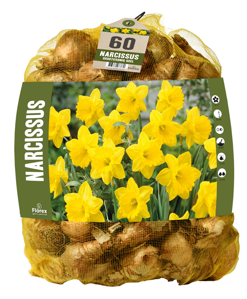 Florex Narcissen Voordeelverpakking  - Bloembollen