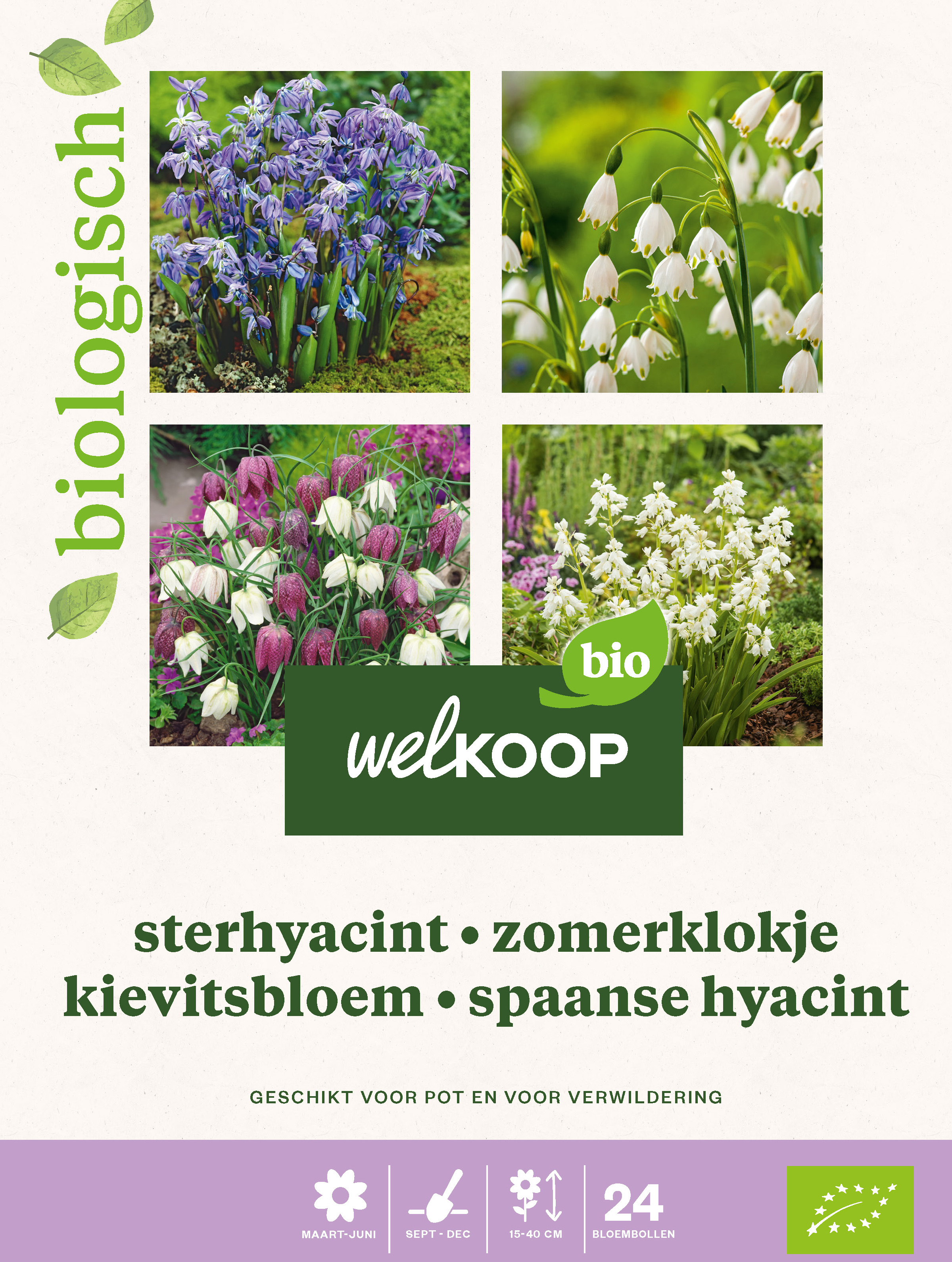 Welkoop Hyacint Allium Krokus Biologisch - Bloembollen