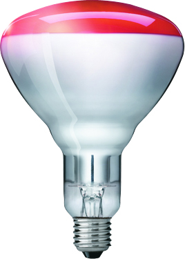 Philips - Warmtelamp - Rood - 17.5x11.8x11.8 cm - 150 W