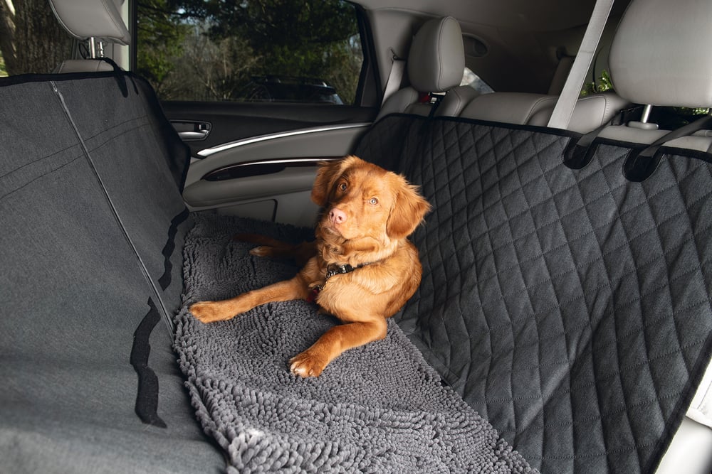 Dirty Dog - Autodeken - Hond - grijs - 1x148x136 cm - L