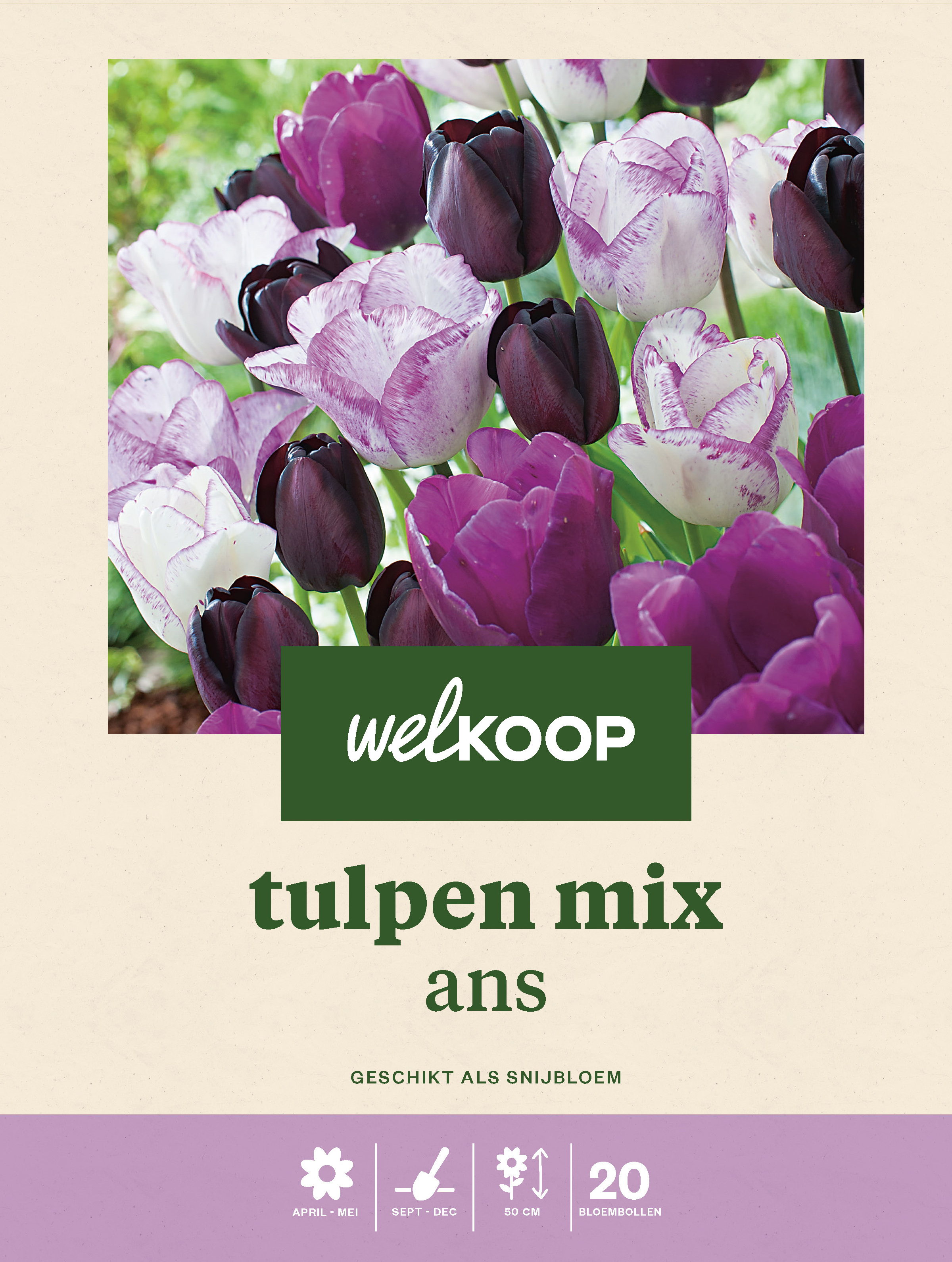 Welkoop Tulpen mix Ans - Bloembollen