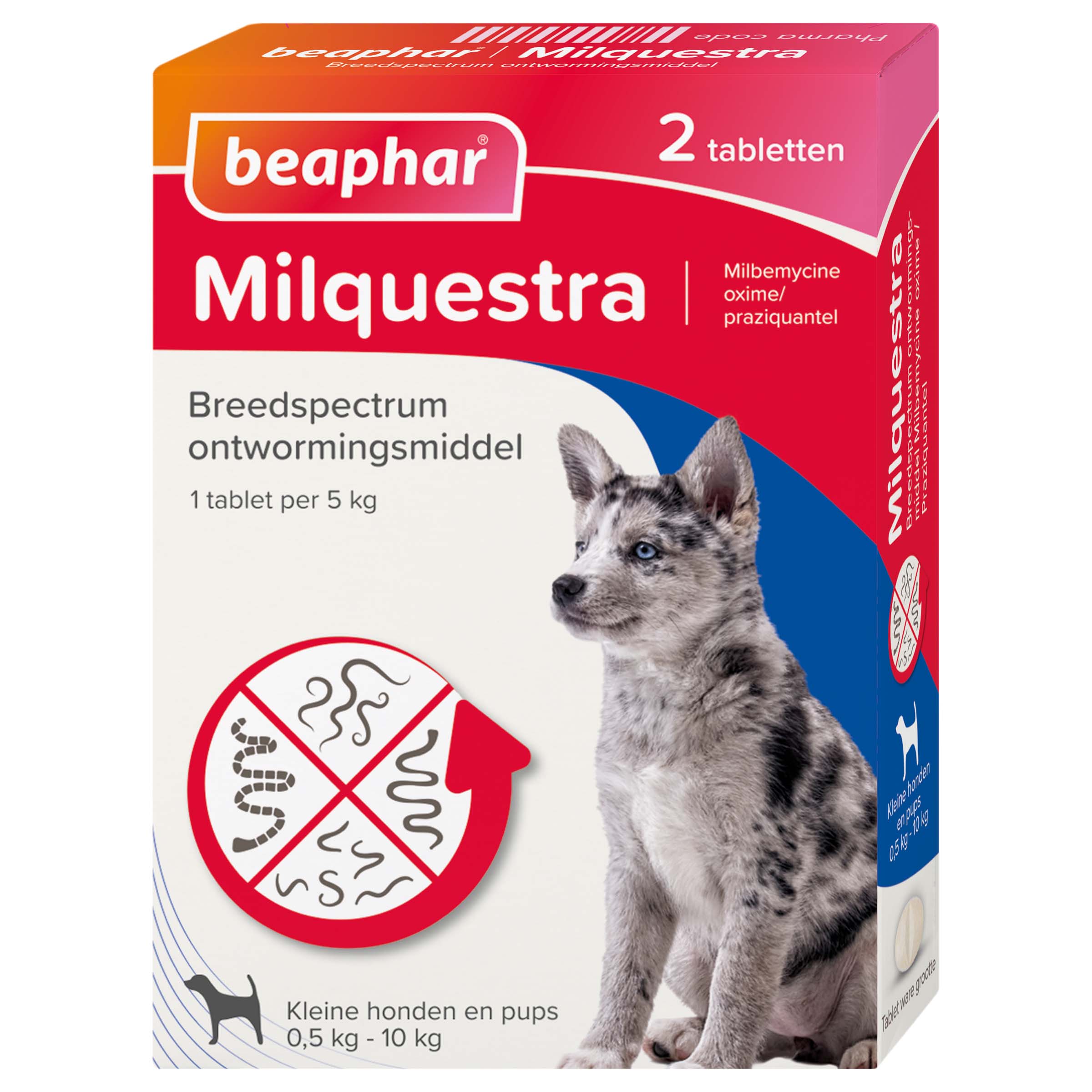 Beaphar Milquestra Pup 0,5-10kg - Wormenmiddel - 2 Stuks