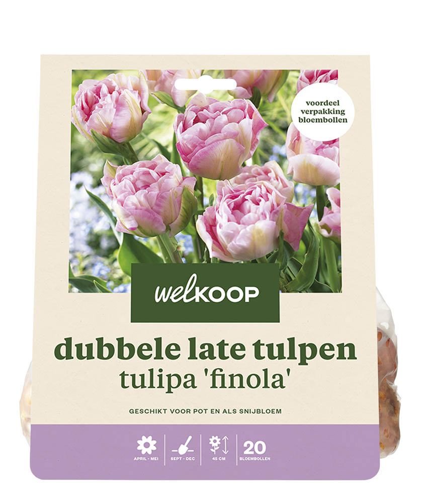 Welkoop Dubbele Tulp Lizzy - Bloembollen