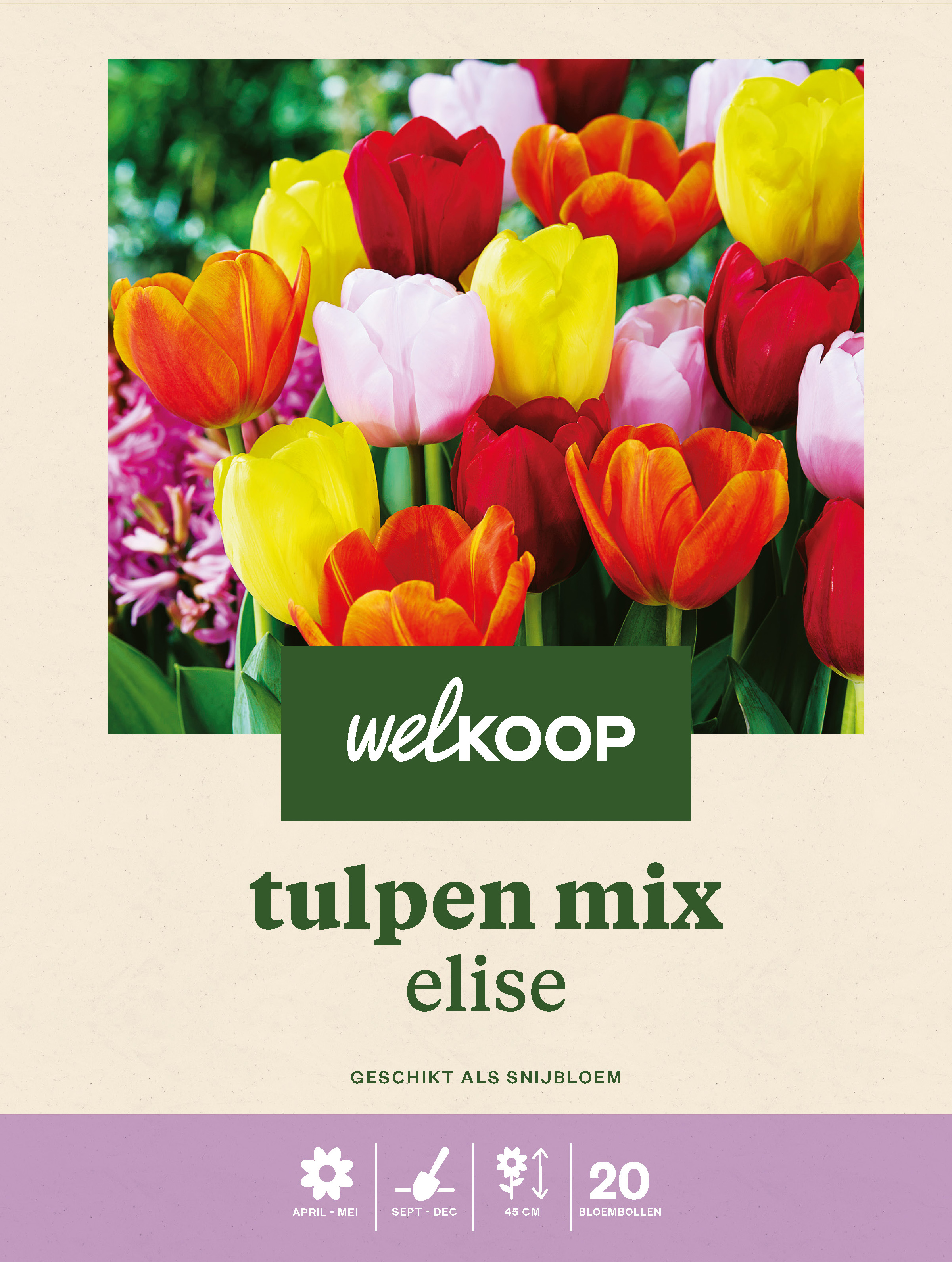 Welkoop Tulpen mix Elise - Bloembollen