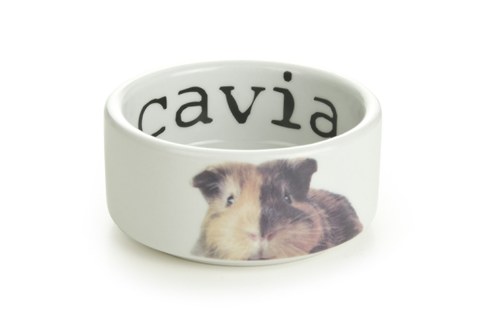Beeztees Voer of drinkbak Snapshot cavia - Wit - 5x4x10 cm