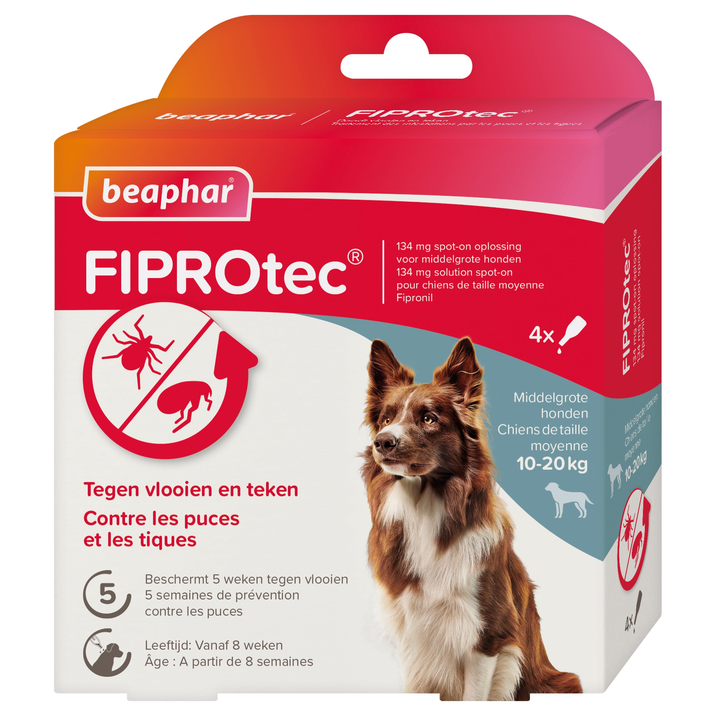 Beaphar Fiprotec Pipet - Anti Vlooien en teken - Hond - 4 Stuks - M Beaphar Fiprotec Pipet - Anti Vlooien en teken - Hond - 4 Stuks - M
