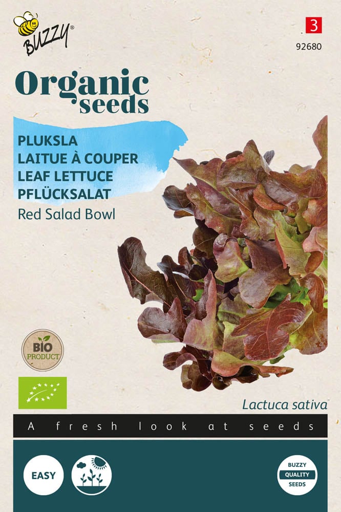 Buzzy Pluksla Lactuca sativa Red Salad Bowl - Sla
