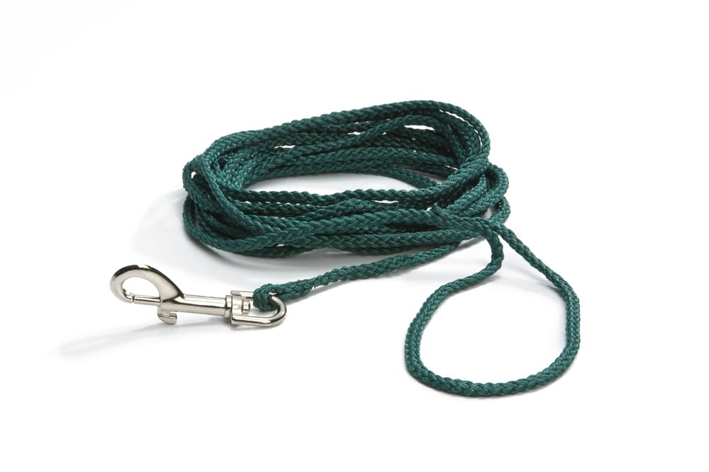 Beeztees Blister - Veldlijn Hond - groen - 1 cm - 500 cm Beeztees Blister - Veldlijn Hond - groen - 1 cm - 500 cm