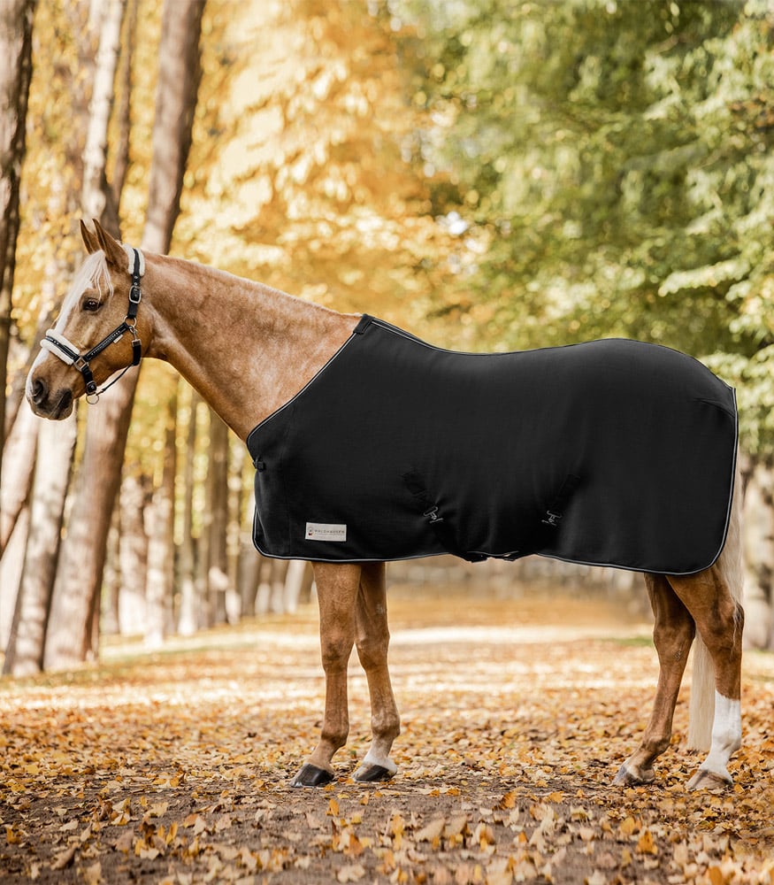 Waldhausen Economic met kruisbanden - Zweetdeken - Paardendeken - Zwart - 115/165 Waldhausen Economic met kruisbanden - Zweetdeken - Paardendeken - Zwart - 115/165