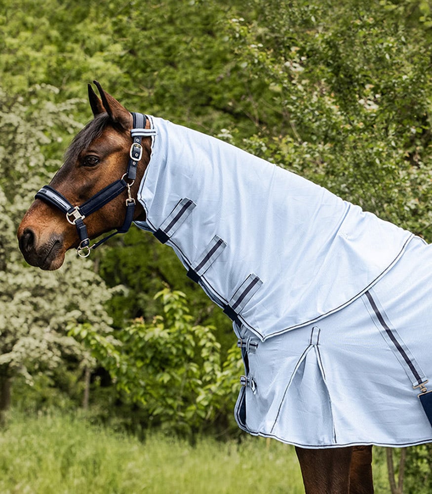 Waldhausen Protect - Vliegendeken Paard - Blauw - Cob Waldhausen Protect - Vliegendeken Paard - Blauw - Cob