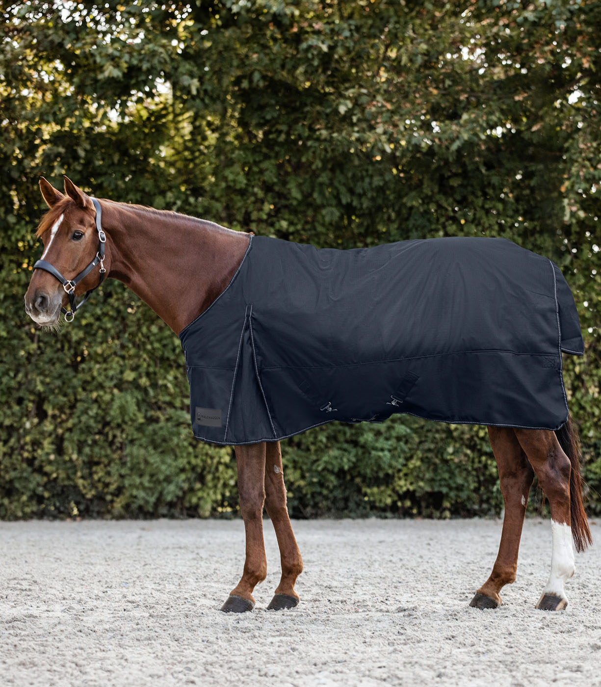 Waldhausen Nordic 300 gr - Winterdeken - Paardendeken - Blauw - 115/165 Waldhausen Nordic 300 gr - Winterdeken - Paardendeken - Blauw - 115/165
