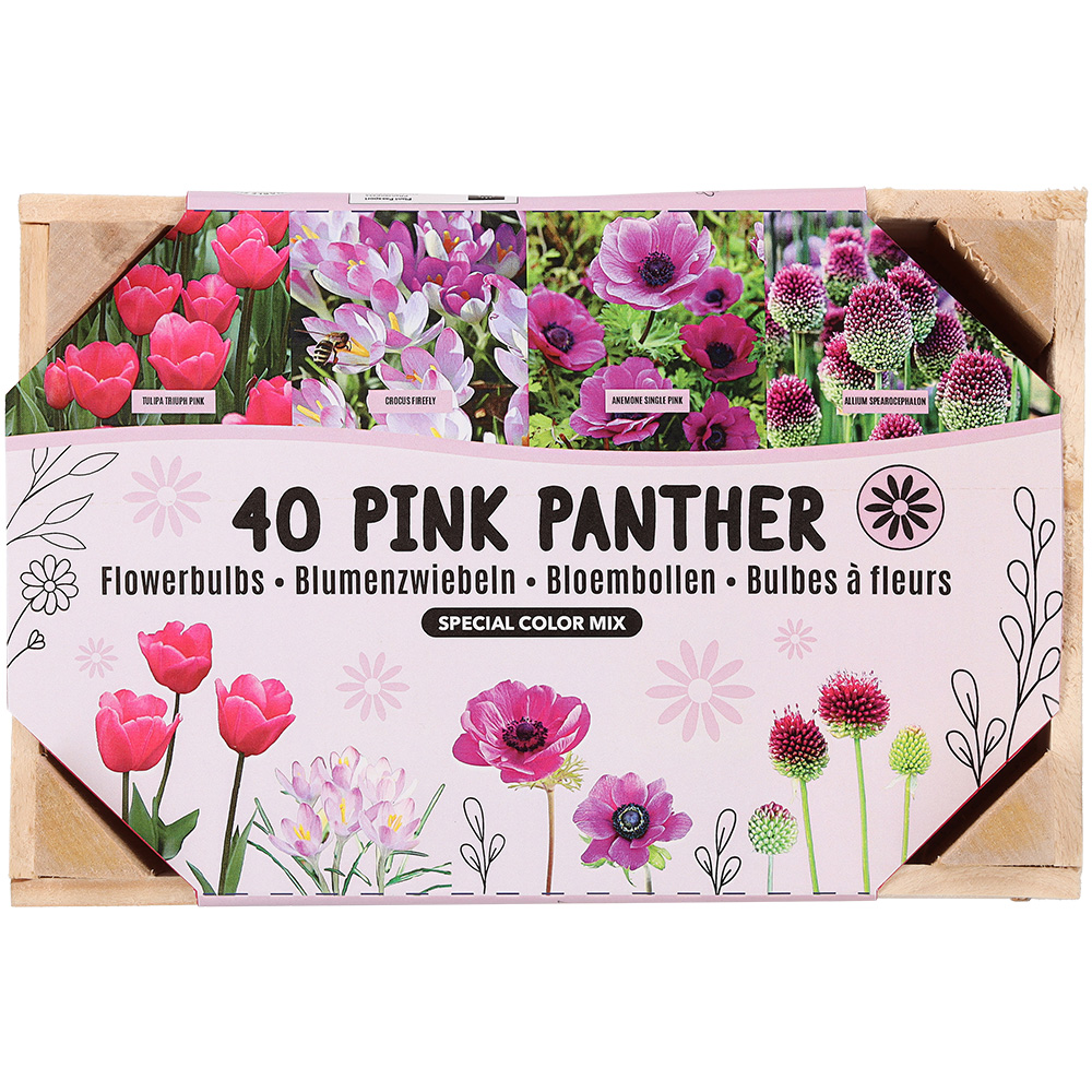 Florex Bloembollen mix - in Kistje