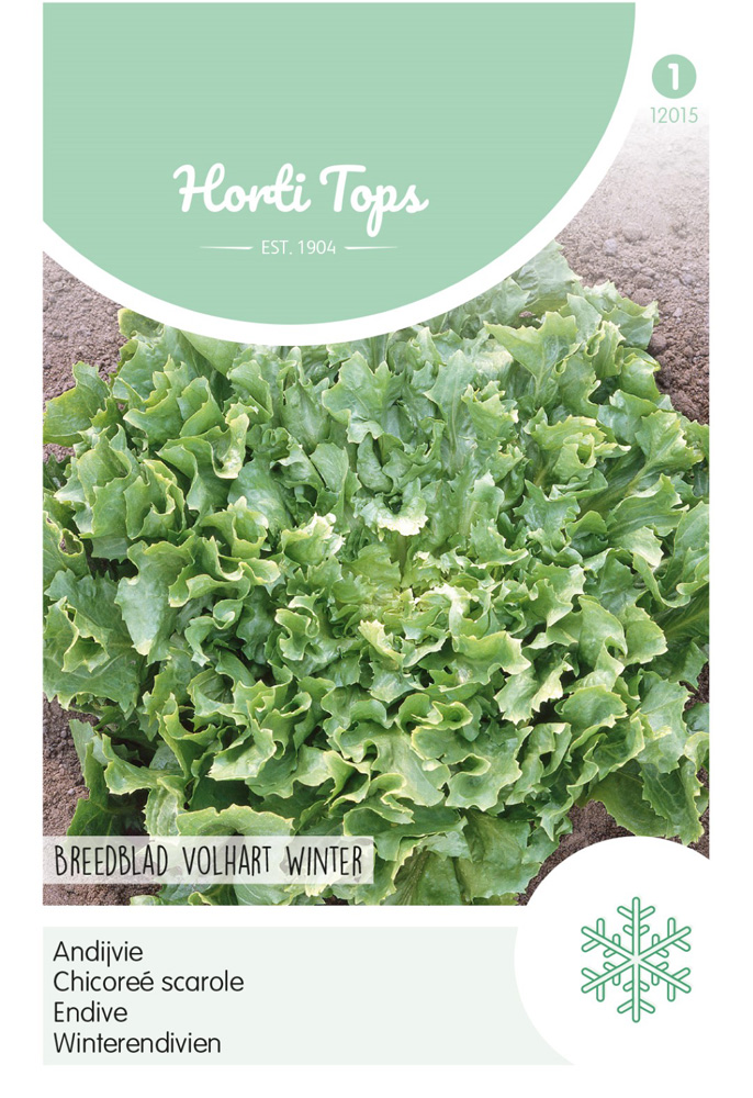 Hortitops Andijvie Cichorium endivia Breedblad Volhart Winter - Groentezaden