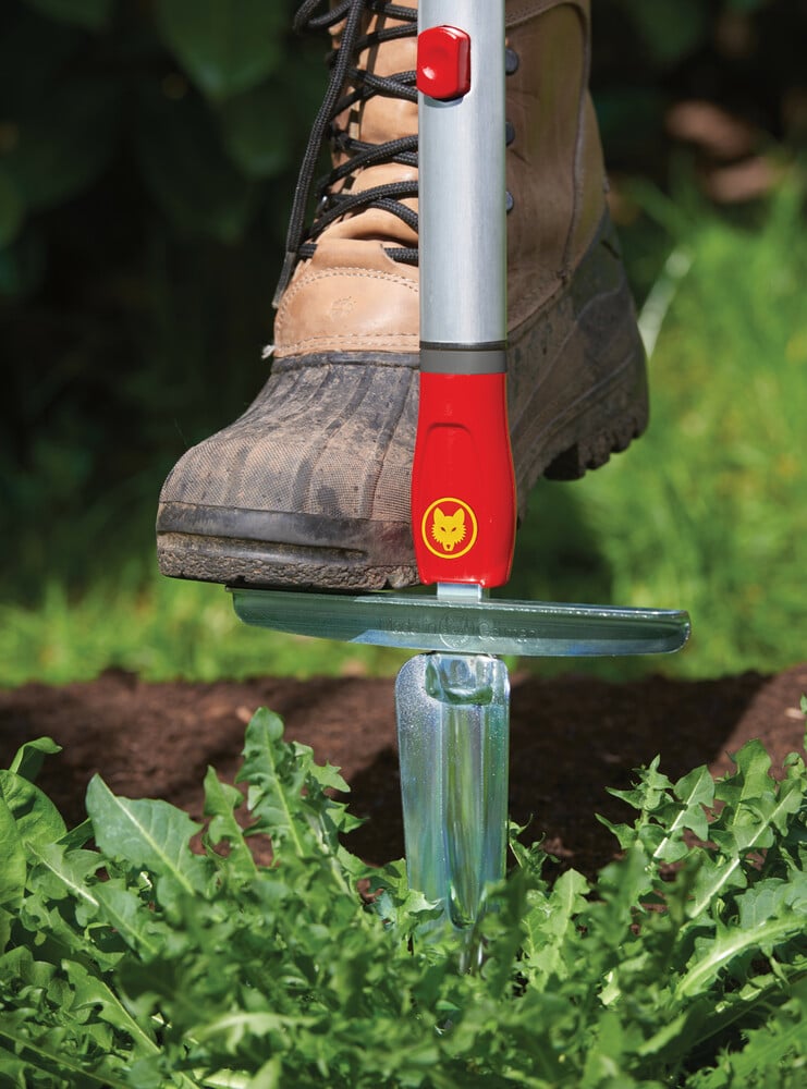 WOLF-Garten Multi-star Onkruidsteker KS-M - Systeemgereedschap - Rood