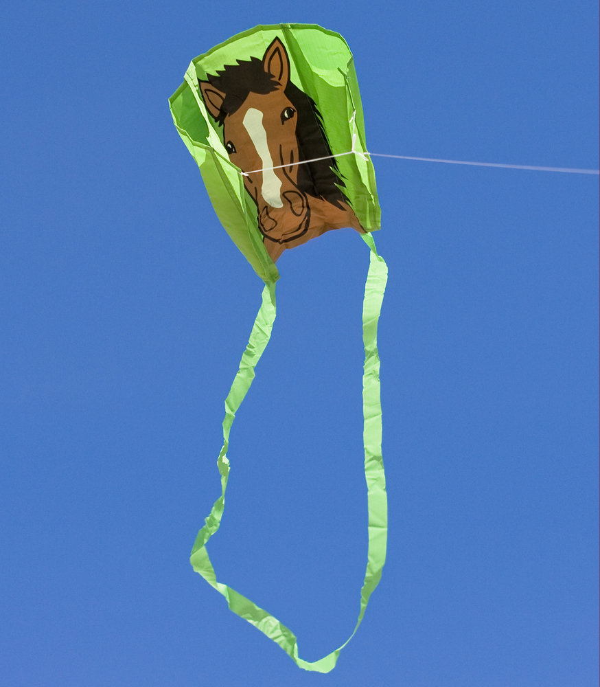 Beeztees Premium Parinca - Hondenriem - grijs - 120 cm