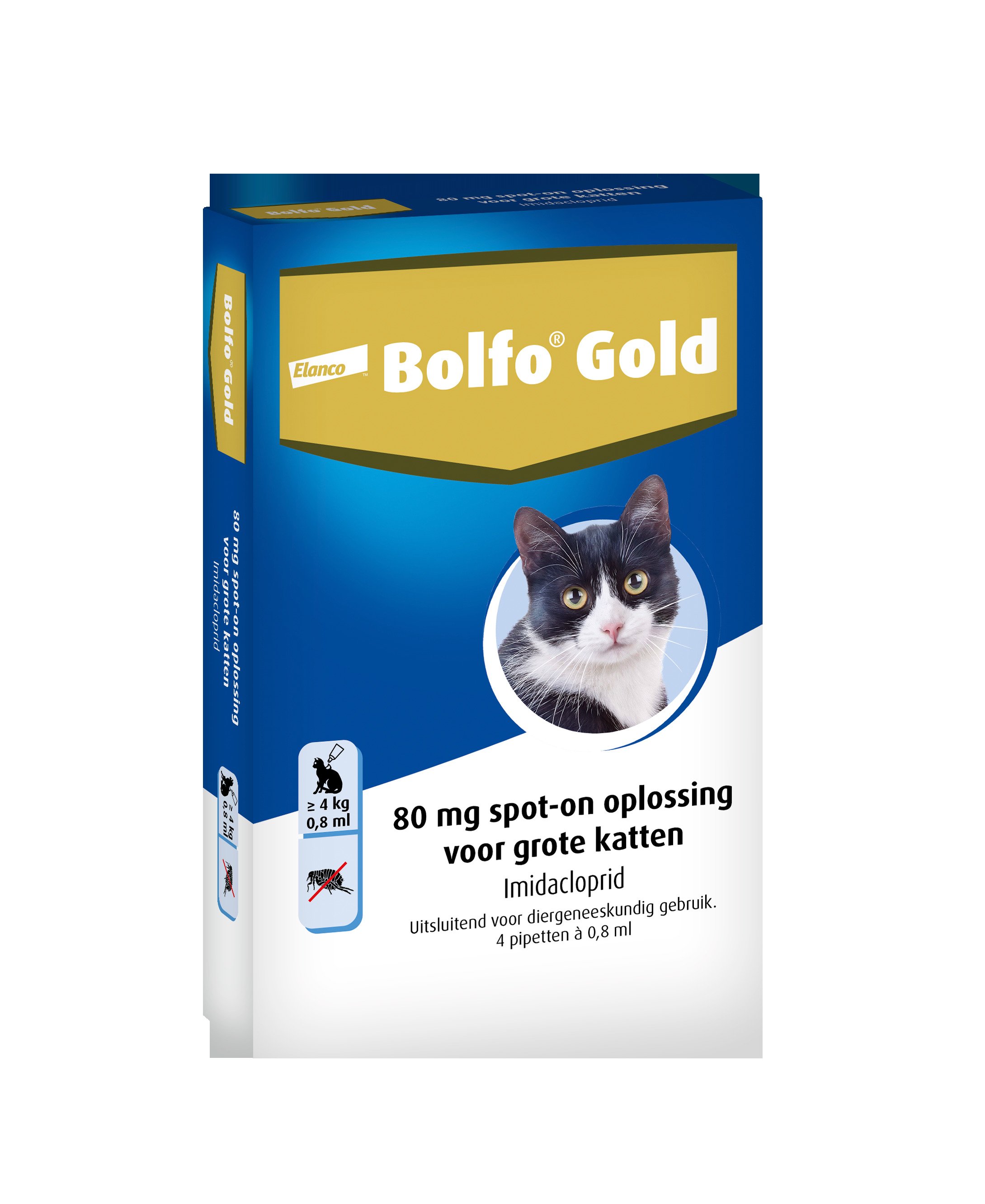 Bolfo Gold 80 Kat ( 4 - 10 kg )  - Vlooienmiddel - Pipet - 4 Stuks - L