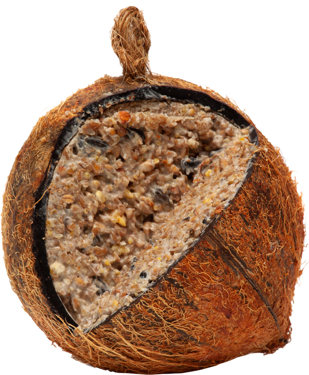 Welkoop Gevulde kokosnoot - Tuinvogelvoer - 380 Gram