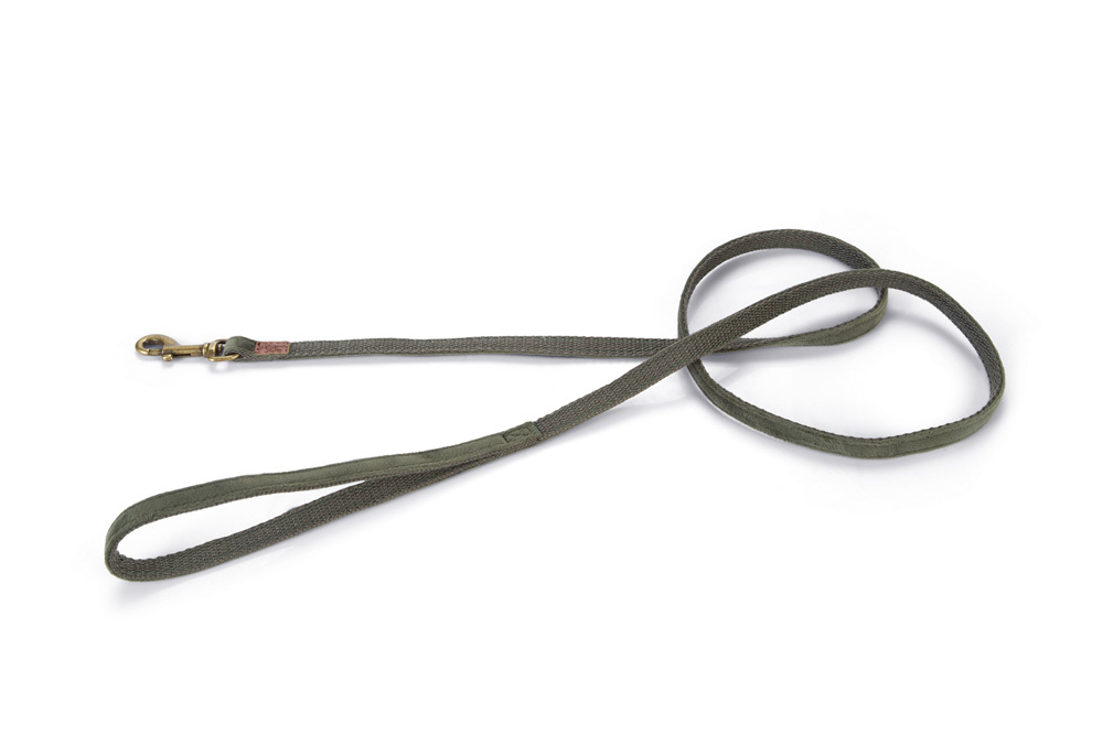 Designed by Lotte Velura - Hondenriem - groen - 1 cm - 120 cm Designed by Lotte Velura - Hondenriem - groen - 1 cm - 120 cm