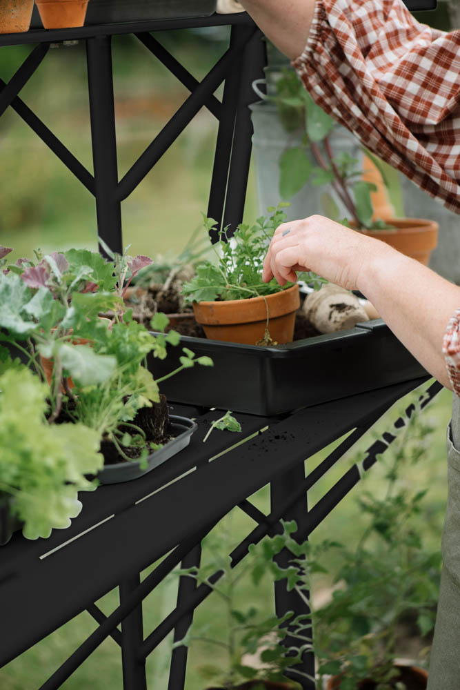 Royal Well Mary III - Kweektafel - zwart - 2.5x42.5x347 cm