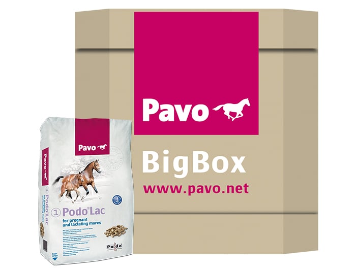 Pavo Podo Lac- Fokkerij - Paardenvoer - 725 Kilogram - Bigbox