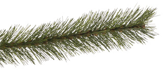Triumph Tree Forest Frosted Pine - Kunstkerstboom - Groen - 120 cm