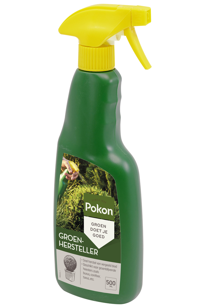 Pokon Buxus groen hersteller - Siertuinmeststof - 500 Milliliter
