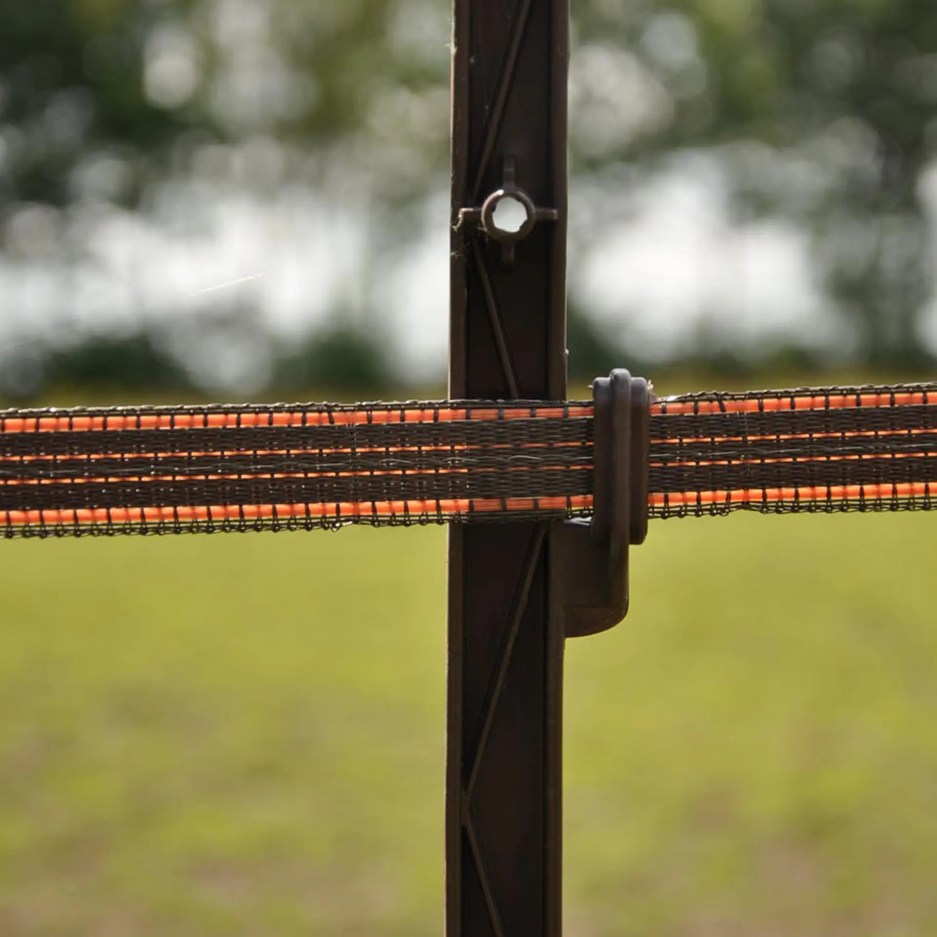 Gallagher - Stijgbeugelpaal - 100 cm - 10 Stuks - Tera - 10 cm - 105 cm