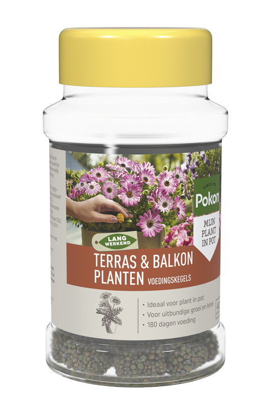 Pokon Terras & Balkon Voedingskegels - Siertuinmeststof